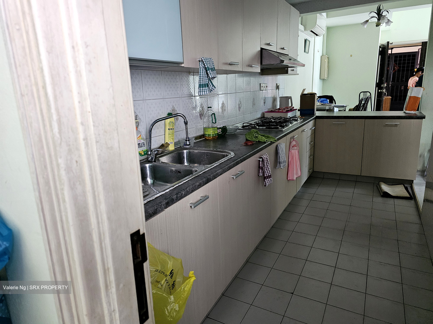 Hume Park I (D21), Condominium #483242151